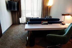 Hilton Garden Inn Dallas at Hurst Conference Center