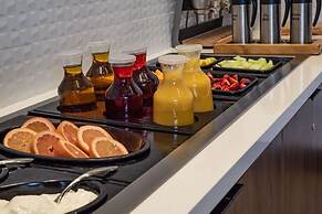 Hilton Garden Inn Dallas at Hurst Conference Center