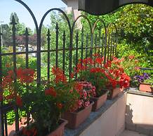Villa Marisa bed breakfast and books