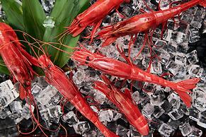 Beijing Baifuyi Hotel Dongzhimen