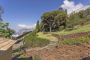 Vila Eucalipto by An Island Apart