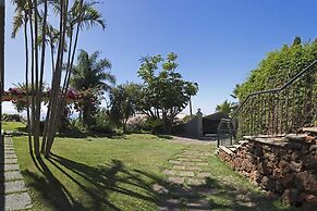 Vila Eucalipto by An Island Apart