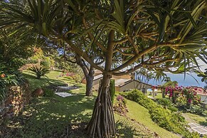 Vila Eucalipto by An Island Apart