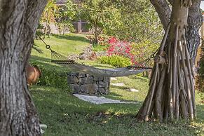 Vila Eucalipto by An Island Apart