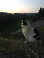 Inglenook Guest House