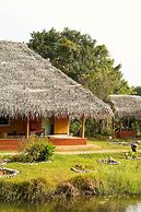 Amuna Ayurveda and Wellness Retreat