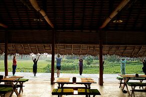 Amuna Ayurveda and Wellness Retreat