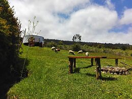 Yurt in Puyehue with Volcano Views