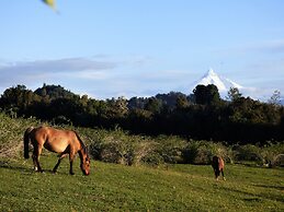 Yurt in Puyehue with Volcano Views
