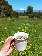 Yurt in Puyehue with Volcano Views