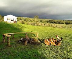 Yurt in Puyehue with Volcano Views