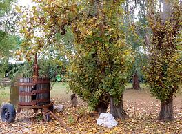 Agriturismo Pinzale