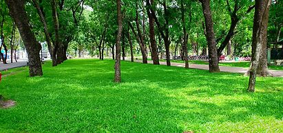 Studio Apartment near Airport