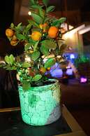 V Gostyah U Julii Guest House