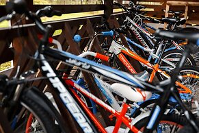 Tsarstvo Korolevstvo