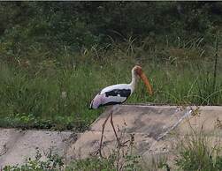 Dev's Campground