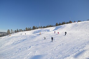 Ski Lodge & Apartments Gautefall