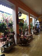 Casona Tlaquepaque Temazcal y Spa