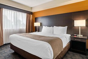 Quality Inn & Suites Bathurst