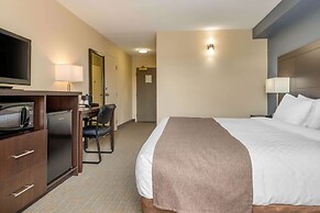 Quality Inn & Suites Bathurst
