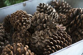 Thistle Hill Guest House