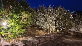 Hotel Kulla e Balshajve