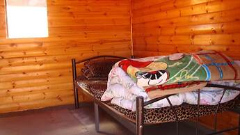 Wadi Rum Nabatean Camp