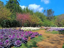 Baan AingDoi Homestay