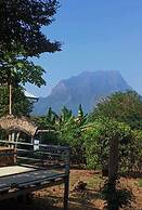 Baan AingDoi Homestay