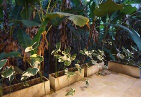 Villa De View Chiang Dao