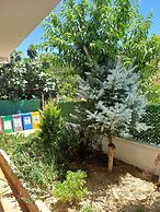 Elite Apart Pansiyon