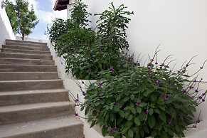 One Ocean Boutique Apartments & Suites Bonaire