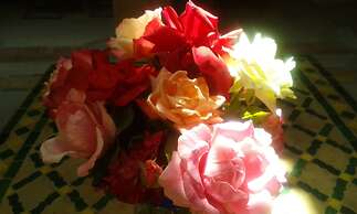 Riad Cascades d'Ouzoud