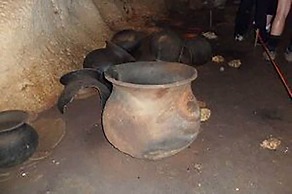 Martz Farm Treehouses & Cabanas