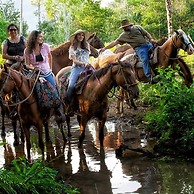 Martz Farm Treehouses & Cabanas