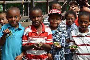 Martz Farm Treehouses & Cabanas