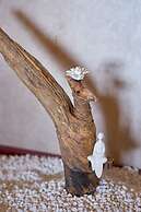 Summer Flower Apartment