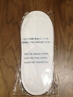 Business Hotel Kamoshita