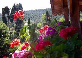 Hamsilos Tatil Koyu & Apart Hotel