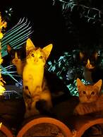 Old House Pub Hotels