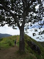 Samadhi Guest Inn Ella