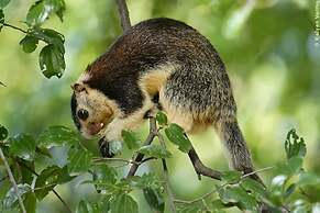 Samadhi Guest Inn Ella