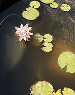 Grandview B&B Mount Dora