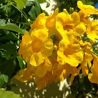 Pousada Recanto do Luar