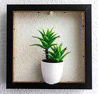 Tenerife Experience Hostel