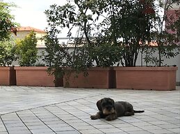 Appartamenti Aquamarina