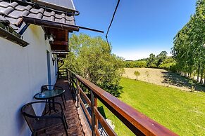 Casa Nitu