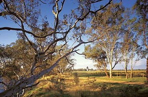 The Mitchelton Hotel Nagambie - MGallery by Sofitel