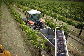 The Mitchelton Hotel Nagambie - MGallery by Sofitel