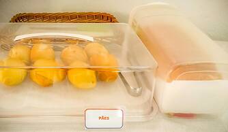 Pousada 455 - Hostel